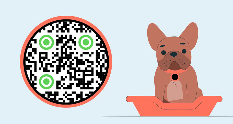 Koera QR-kood kinnitatud turvaliselt kaelarihmale