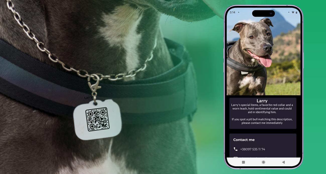 Koera tõugu puudutava maandumislehega telefonis avanes koera kaelarihmal olev QR-kood